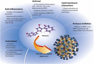 Potential biocide roles of violacein